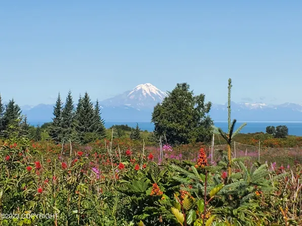 17259 Kimeluk St, Ninilchik, AK 99639