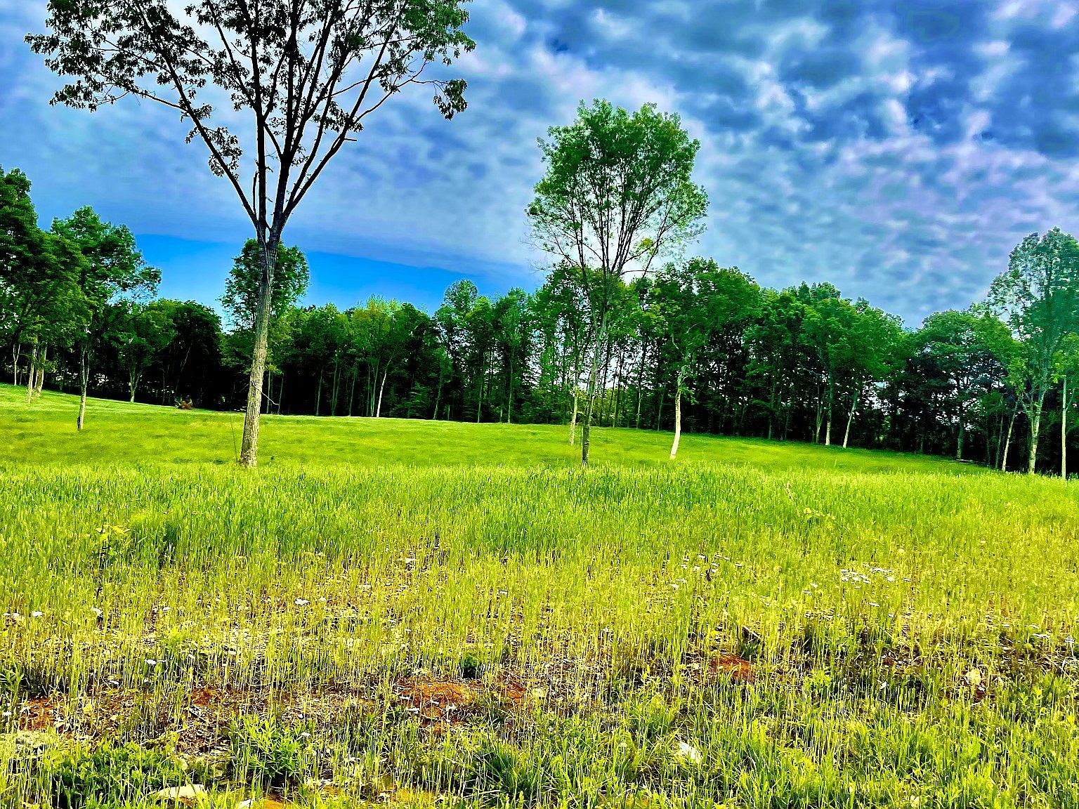 0 Warner Bridge Rd LOT 6 & 7, Shelbyville, TN 37160 MLS 2518246 Zillow