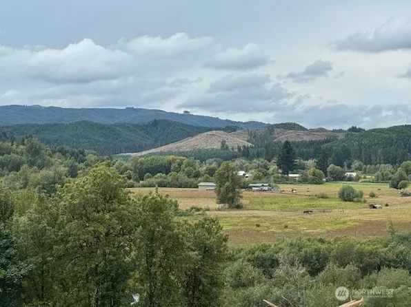 0 Garrard Creek Road, Oakville, WA 98568