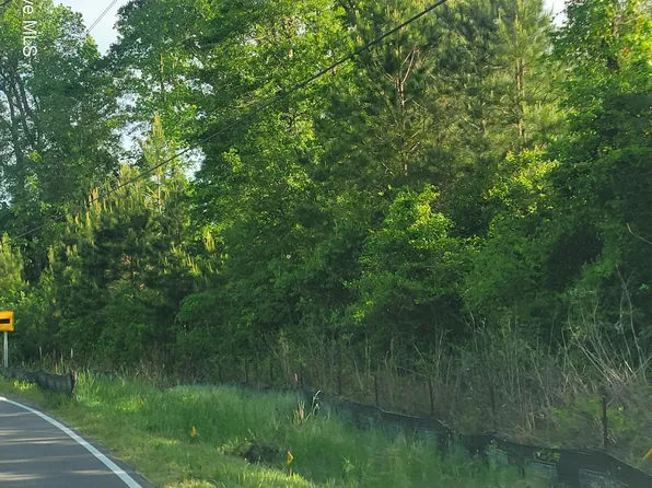 Lots N Wright Street, Burgaw, NC 28425