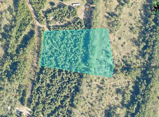 L25 Big Salchaket Trl, Salcha, AK 99714