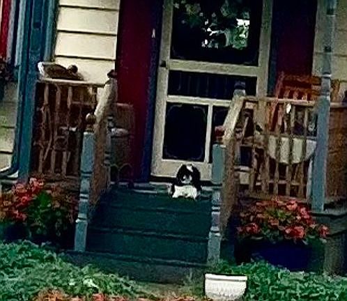 3rd image of 3638 Lanark Rd