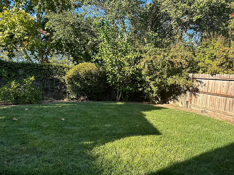 10037 Wild Orchid Way — Photo 35
