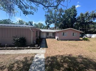 4165 Amber Rd, Valrico, FL 33594
