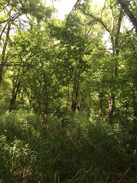 1st image of 3809 County Road 808