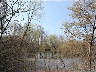 3rd image of 17450 Johnson Dr