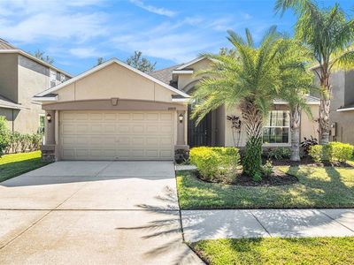 10809 River Hawk Ln, Riverview, FL, 33569