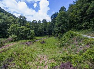 1070 Little Creek Rd, Hot Springs, NC 28743