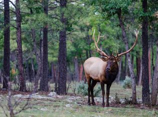 7800 Forest Service 122 Rd TRACT 9B, Happy Jack, AZ 86024
