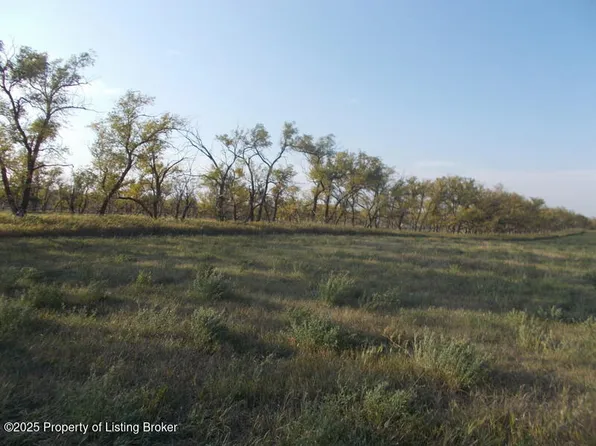 3287 82w Ave SW, Richardton, ND 58652