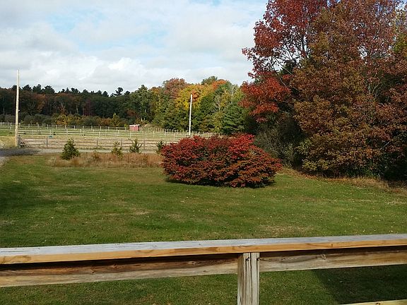 Big Back Yard