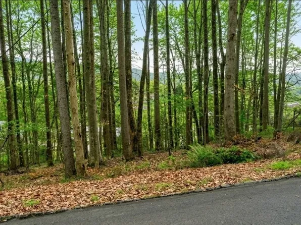0 Carlton Rd, Bristol, TN 37620