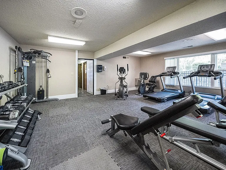 Well-Equipped Gym