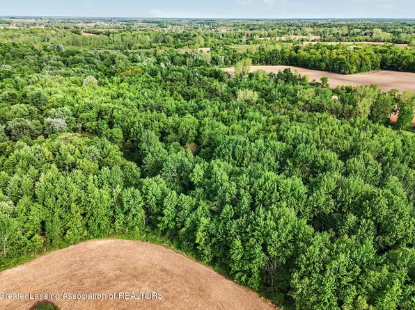 0 N Royston Rd, Grand Ledge, MI 48837