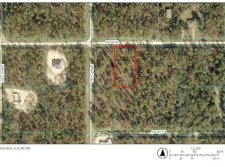 0 SW 85TH PLACE LOT 10, DUNNELLON, FL 34432