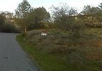 1st image of 3340 El Dorado Royale Dr