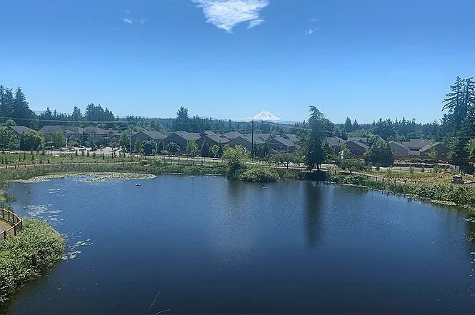 Pond