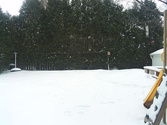 Backyard surrounded by pine trees