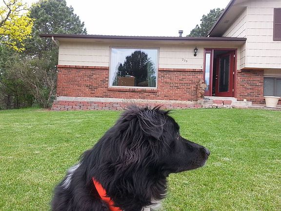 Front landscaping update