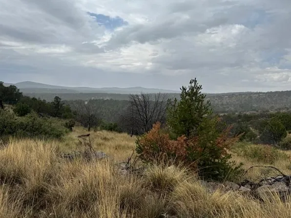 436 Perch Dr, Timberon, NM 88350