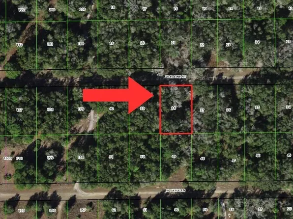 8230 W Elaine St, Crystal River, FL 34428