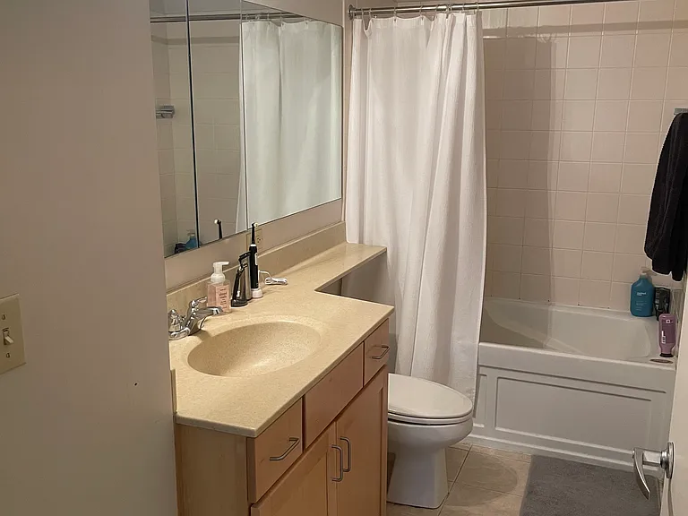 222 N Columbus Dr #2907 — Photo 6