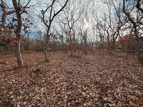 4th image of 36 Boylston Dr