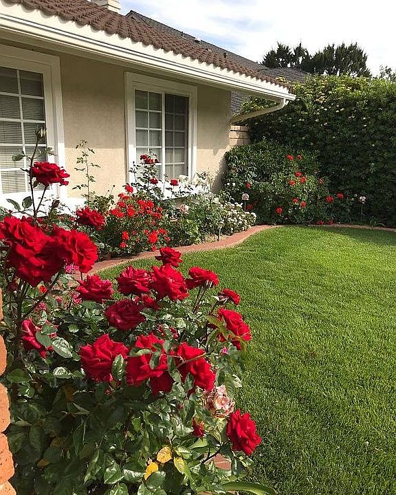 2nd image of 24120 Avenida Crescenta