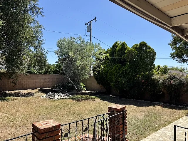 backyard