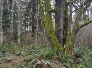 0 SW Bachelor Flat Ln, Pt Orchard, WA 98367