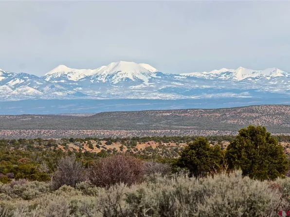 Tbd Hwy #141, Egnar, CO 81325