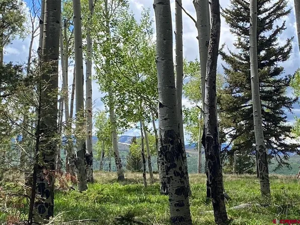 800 Crest Drive, Cimarron, CO 81220