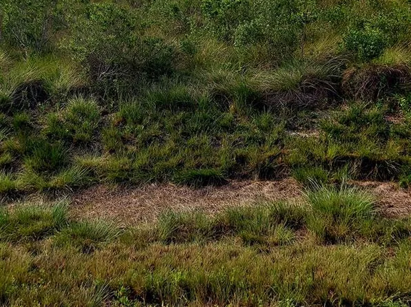 331-332 W Live Oak Dr, Rockport, TX 78382