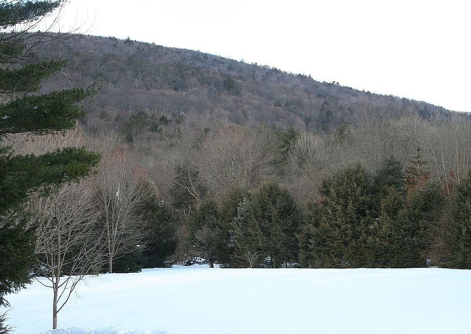 View from deck