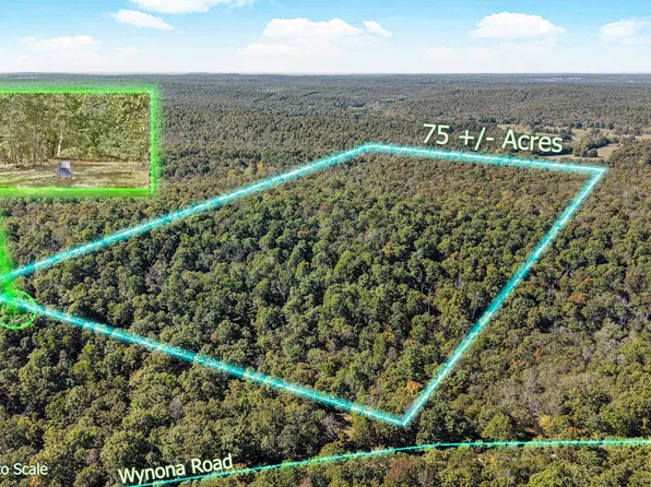 Tuska Dr, Cherokee Village, AR 72529