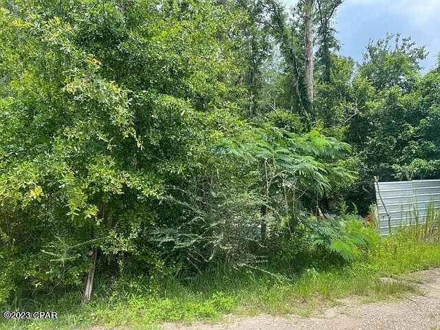 2nd image of 220 Crawfish Cabin Street