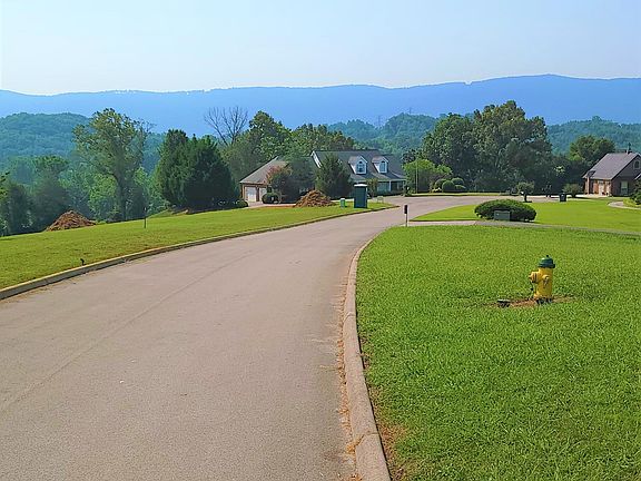 4th image of 1561 Mint Meadows Dr