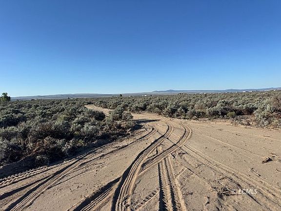 2nd image of Bark Loop