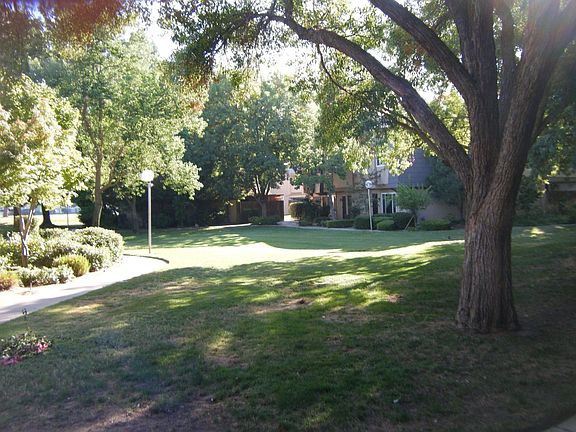Park Setting In Front of Unit