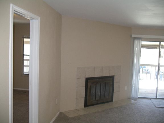 Wood Burning Fireplace