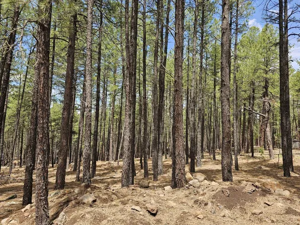 7707 Pine Cone Dr, Happy Jack, AZ 86024