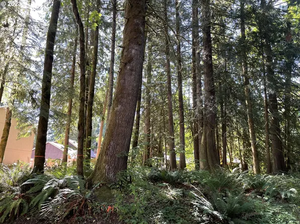 65010 E Pine Tree Way, Rhododendron, OR 97049