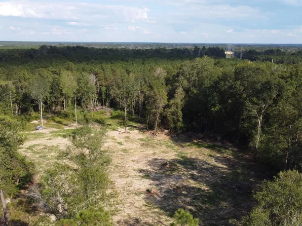 12663 Arcola Rd, Roseland, LA 70456