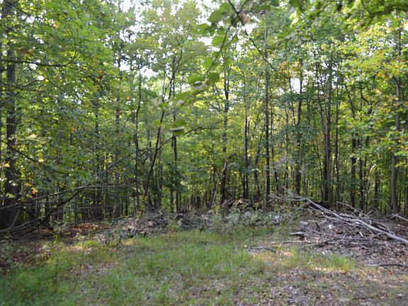 2nd image of 0 Hickory Falls Rd