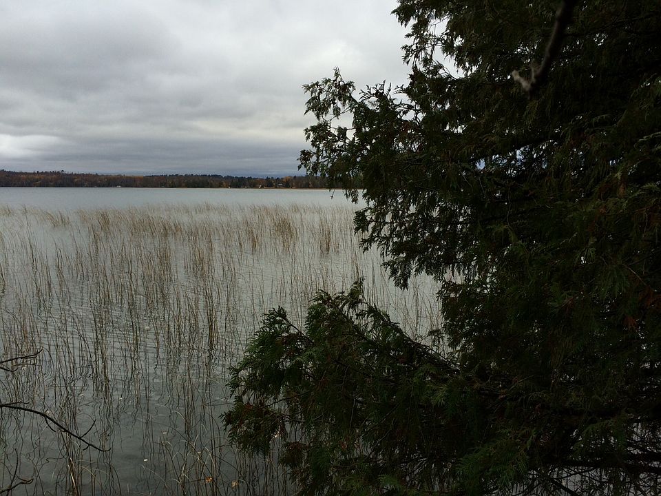 Deer Lake Shoreline