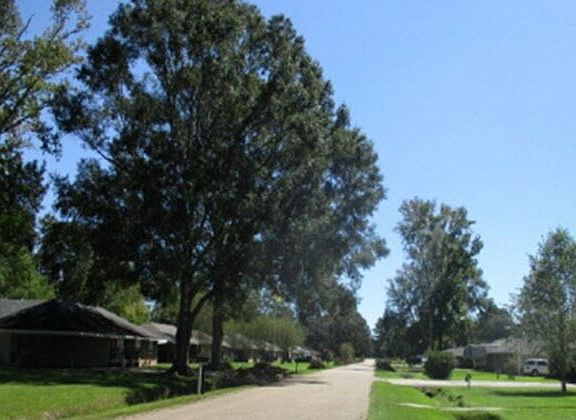 5th image of 16728 Chickasaw Ave