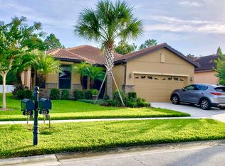 215 Silver Falls Dr, Apollo Beach, FL 33572
