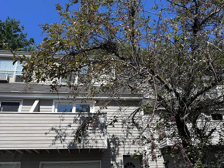 769 Sylvan Ave #1 — Photo 20