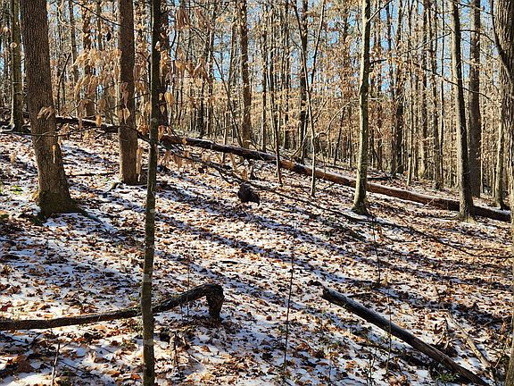 2nd image of 5500 Brookton Lula Rd