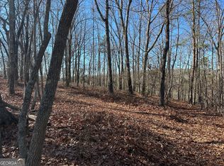 0 Charlie Lemley Rd, Dawsonville, GA 30534